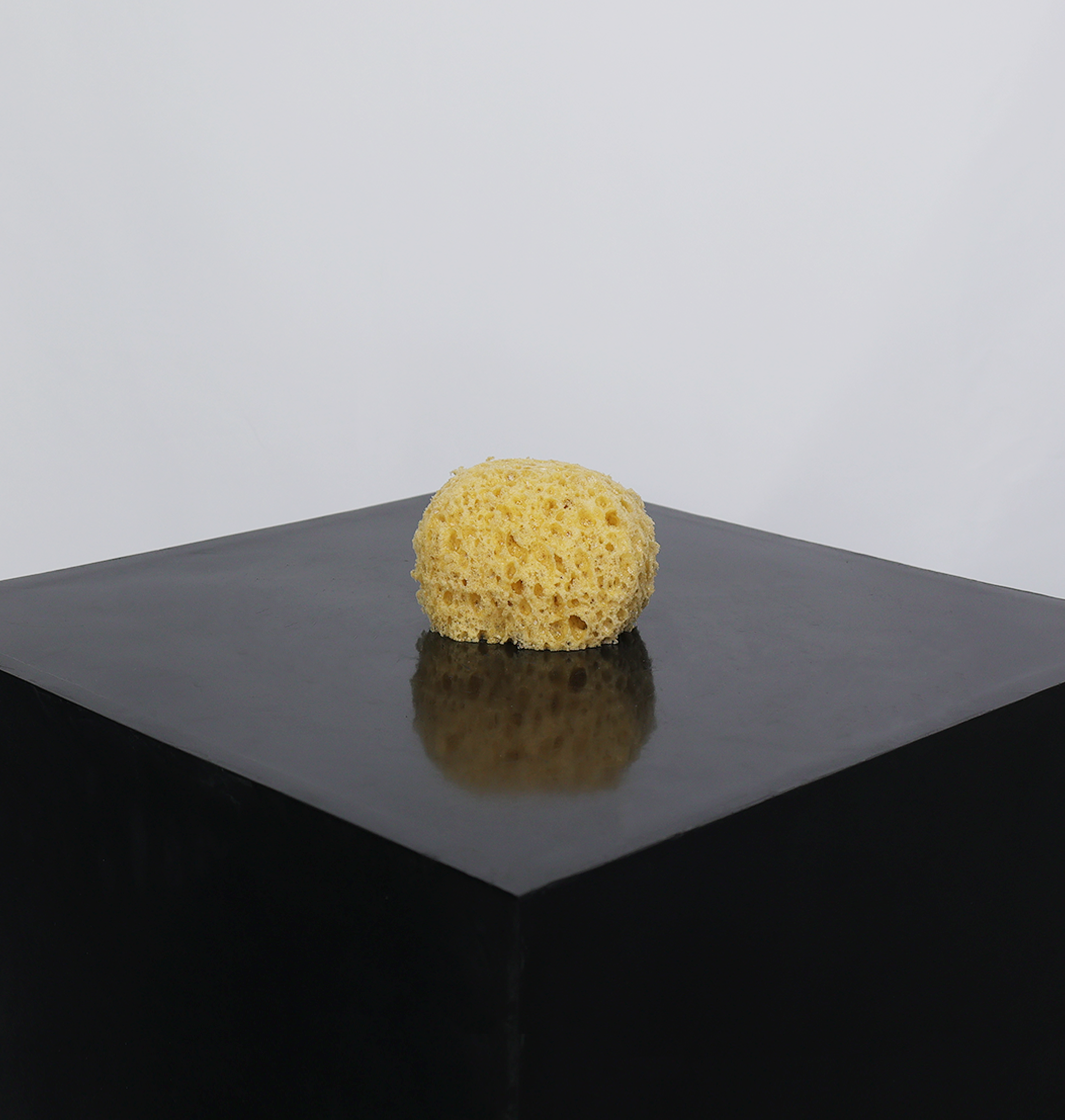 Synthetic Sea Sponge For Decorative Finishes
